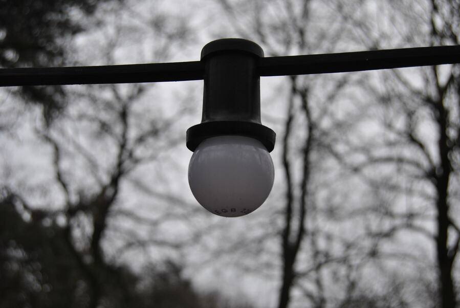 blogdetail1