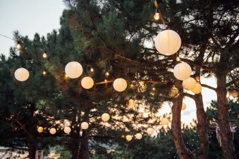 Bistro Lights for Wedding